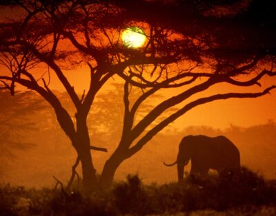 Eco-Tourism & Sustainable Travel