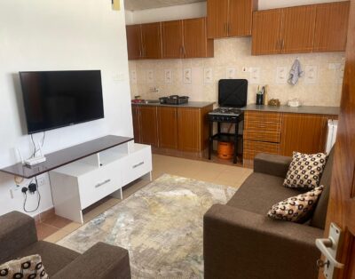 Modern One Bedroom In Tom Mboya, Kisumu