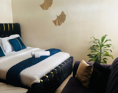 Alexis Homes Studio Apartments In Ruiru OJ, Nairobi