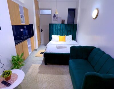 Favoured Homes Studio Apartment In TRM Roysambu, Nairobi