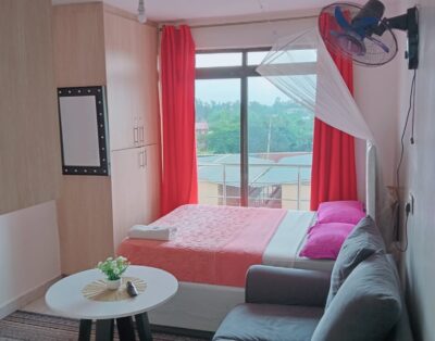 Idyll Modern Studio Apartment In Carwash, Kisumu