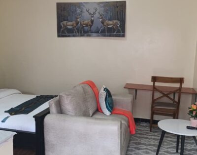 Maclite Homes Studio Apartment In Naivasha