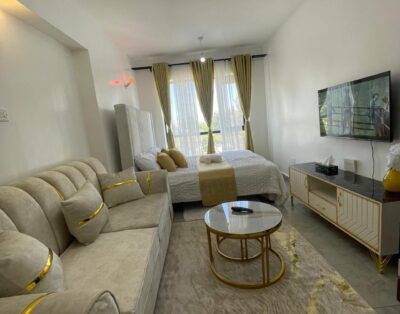 Destinyspaces Studio Apartment In TSAVO Fedha, Nairobi