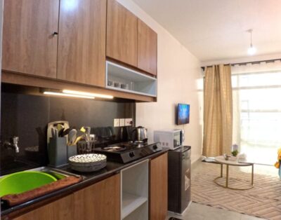 Ty Homes 1BR Apartment In TRM Roysambu, Nairobi