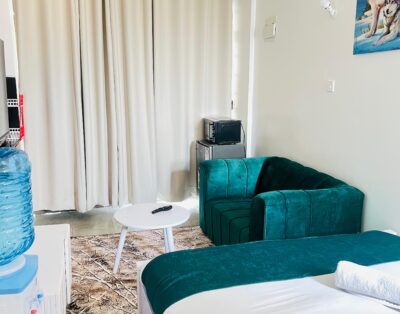 Nobcyn Suites Studio Apartment In Roysambu, Nairobi