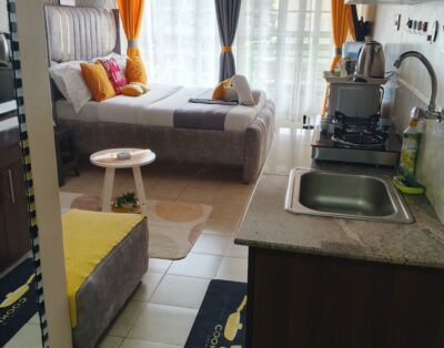 Budget Bliss Studio (1) Apartment In Ruaka, Nairobi