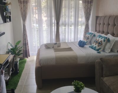 Budget Bliss Studio (2) Apartment In Ruaka, Nairobi