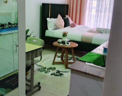 Budget Bliss Studio (3) Apartment In Ruaka, Nairobi