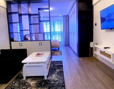 Spacious Studio Apartment In Kileleshwa, Nairobi