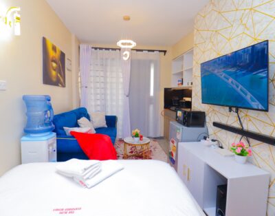 Micasa Hasienda Studio Apartment In Roysambu, Nairobi