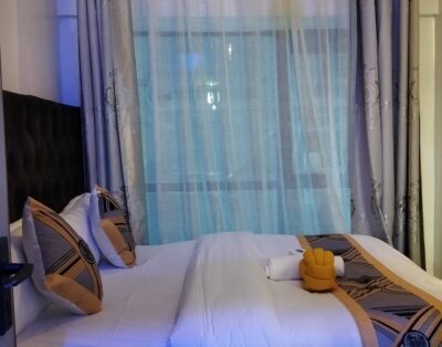 Dotty Reservations 1BR Apartment In Roysambu