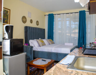 Cozy Studio Apartment In Ruaka