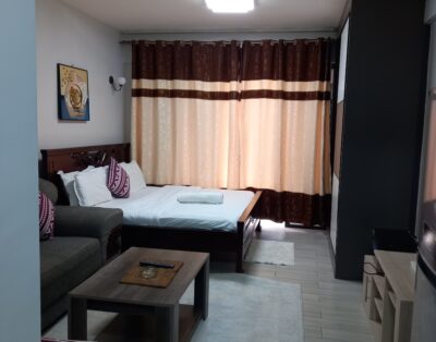 Posh Studio Apartment in Kileleshwa | Diamond Homes