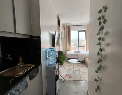 Nellure Nest Studio Apartment In Thindigua