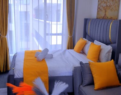 Fully Furnished Studio – Tsavo Sunset 2, Thindigua