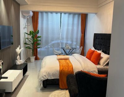 Cozy Studio Apartment in Syokimau | Near JKIA