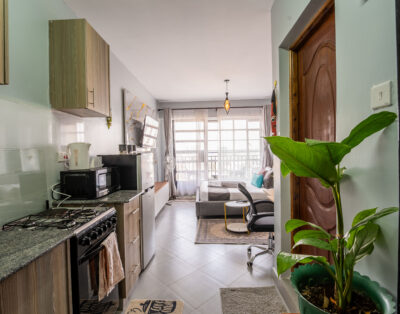 Grey Studio with private Balcony In Ngara