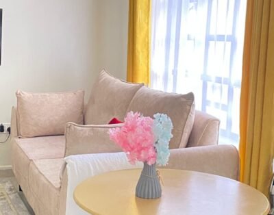 Modern One Bedroom In Nanyuki Town