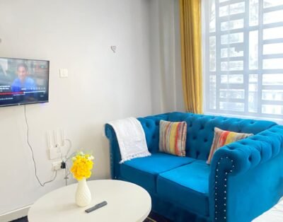 Spacious Studio Apartment In Nanyuki Town
