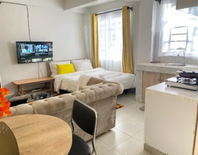 Cozy Studio Apartment In Nanyuki Town