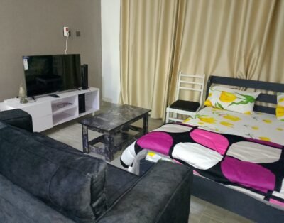 Gechi Realty Cozy Studio In Ngong
